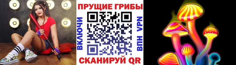 купить наркотик  Шали  Галлюциногенные грибы Magic Shrooms 