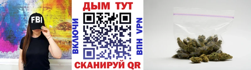где можно купить   kraken как зайти  Канабис марихуана  Шали 